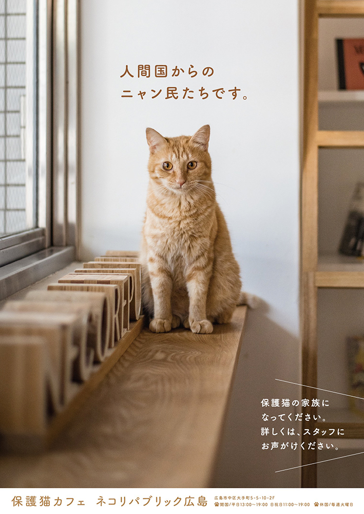 ネコリパブリック広島
作品タイトル
「保護猫カフェPR」